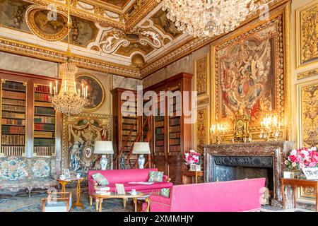 Bibliothek, Chateau Vaux le Vicomte, Maincy, Ile-de-France, Frankreich Stockfoto