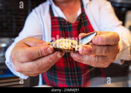 Gefüllte Muscheln Mit Straßengeschmack. Hand Hält Muschel. Haufen schwarzer Muscheln. Stockfoto