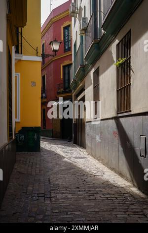 Sevilla, Spanien. Februar 2024 - sonnige enge Kopfsteinpflasterallee Stockfoto