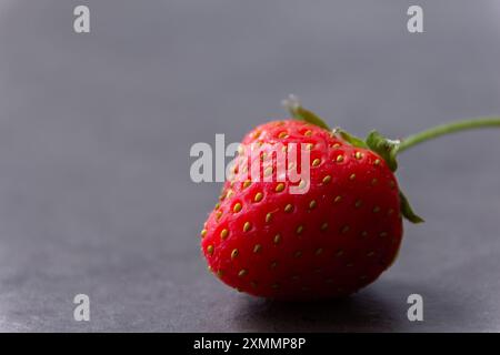 Frische rote saftige Erdbeere auf grauem Hintergrund, gesundes Snackkonzept. Stockfoto
