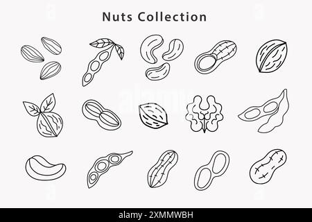 Bio-Nüsse, Sojabohnensammlung. Erdnuss, Mandel Stock Vektor