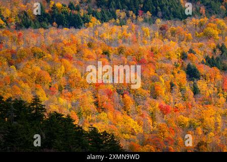 Herbstfarben In Den Vermont Mountains Stockfoto