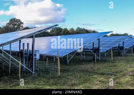 Erzeugung sauberer Energie mit Solarmodulen in einem großen Park in Nort Stockfoto