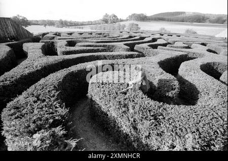 Longleat Maze???????? ? Foto von Roger Bamber Stockfoto