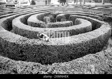 Longleat Maze???????? ? Foto von Roger Bamber Stockfoto