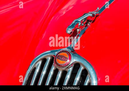 Eine leuchtend rote Motorhaube oder Motorhaube bei einem klassischen Jaguar XK140 Sportwagen, Ropley, Hampshire, Großbritannien Stockfoto