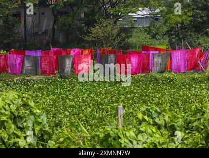 Stoffe, die unter der Sonne trocknen, über Wasser Hyazinthen, Dhaka Division, Rupganj, Bangladesch Stockfoto