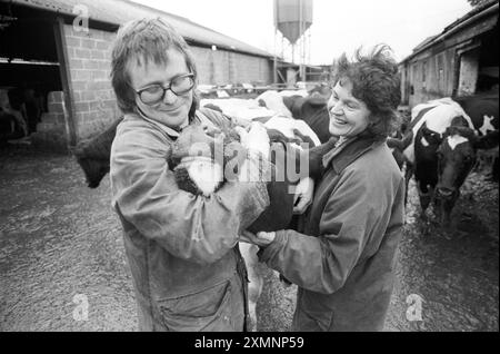 Die Biobauern Henry und Sally Bagenal auf ihrer 227 Hektar großen Farm in Loxton, Somerset. Dies veranschaulichte eine Besonderheit darüber, wie schwer es war, in den 1990er Jahren von der strengen ökologischen Landwirtschaft zu leben Damals gab es in Großbritannien etwa 800 Bio-Farmen. 2019 waren es 6.100. Aber sie finden es immer noch schwer. 3. Dezember 1993 Bild von Roger Bamber Stockfoto