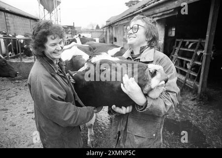 Die Biobauern Henry und Sally Bagenal auf ihrer 227 Hektar großen Farm in Loxton, Somerset. Dies veranschaulichte eine Besonderheit darüber, wie schwer es war, in den 1990er Jahren von der strengen ökologischen Landwirtschaft zu leben Damals gab es in Großbritannien etwa 800 Bio-Farmen. 2019 waren es 6.100. Aber sie finden es immer noch schwer. 3. Dezember 1993 Bild von Roger Bamber Stockfoto