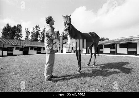 Pferderennspiel 24. März 1993 Bild von Roger Bamber Stockfoto