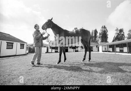 Pferderennspiel 24. März 1993 Bild von Roger Bamber Stockfoto