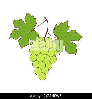 Trauben auf Zweig mit grünen Beeren und Blättern auf weißem Hintergrund. Vektorabbildung Stock Vektor