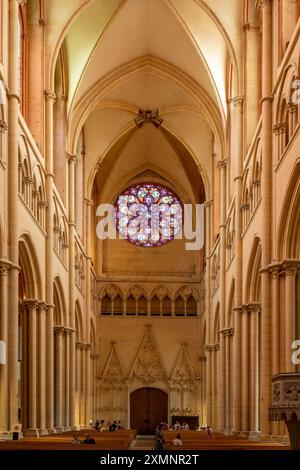 Das Schiff, Cathedrale Saint Jean Baptiste, Lyon, Rhone, Frankreich Stockfoto