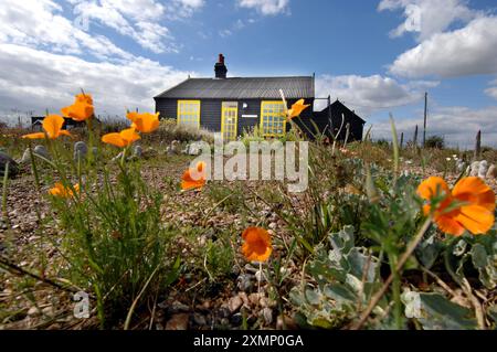 Bild von Roger Bamber: 1. September 2007: Prospect Cottage, das ehemalige Zuhause des verstorbenen Künstlers und Filmregisseurs Derek Jarman in Dungeness, auf Romnet Marsh, Kent. Das Haus und sein trockener Schindelgarten sind durch einige wilde Blumen fotografiert. Stockfoto