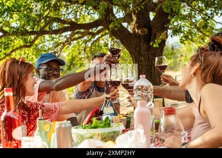 Fröhliche, multiethnische Gruppe von Freunden, die während eines Picknicks im Freien Weingläser zum Toast hochheben. Menschen, die gemeinsam Essen und Getränke teilen - Stockfoto