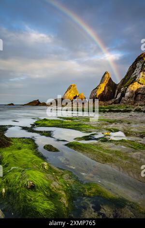 Meeresalgen bedeckten Felsen und Regenbogen am Westcombe Beach in South Devon, Großbritannien Stockfoto