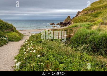 Holzbrücke am Westcombe Beach in South Devon, England, Großbritannien Stockfoto