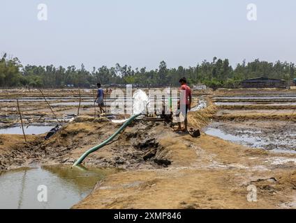 Bangladeschische Männer, die Wasser mit einer Pumpe in ein Salzfeld geben, Chittagong Division, Maheshkhali, Bangladesch Stockfoto