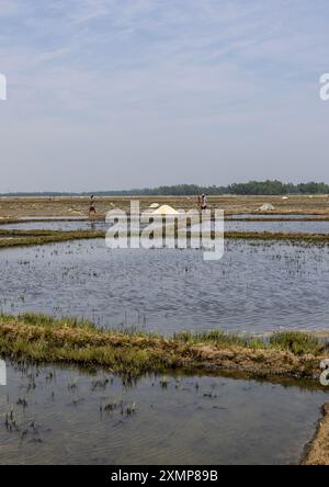 Bangladeschische Männer arbeiten in einem Salzfeld, Chittagong Division, Maheshkhali, Bangladesch Stockfoto