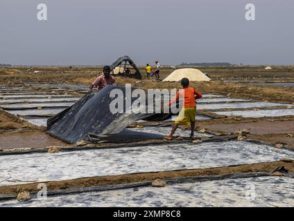 Bangladeschische Männer arbeiten in einem Salzfeld, Chittagong Division, Maheshkhali, Bangladesch Stockfoto