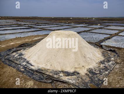 Salzfeld, Chittagong Division, Maheshkhali, Bangladesch Stockfoto