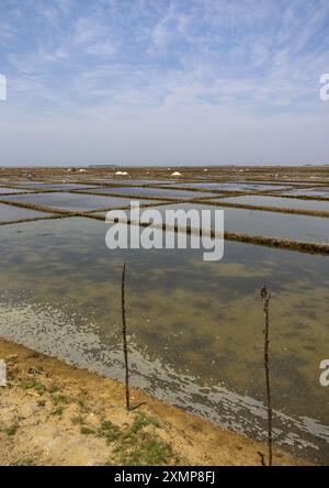 Salzfeld, Chittagong Division, Maheshkhali, Bangladesch Stockfoto