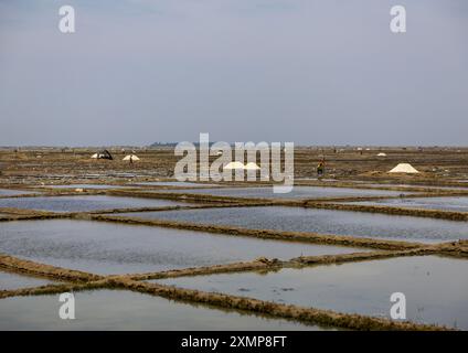 Bangladeschische Männer arbeiten in einem Salzfeld, Chittagong Division, Maheshkhali, Bangladesch Stockfoto