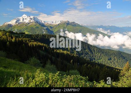 La Rosiere (Skigebiet) mit Blick auf das Tal in Richtung Bourg Saint Maurice, Nordfranzösische Alpen, Savoie, Frankreich, mit Berggipfeln (Mont Pourri) Stockfoto