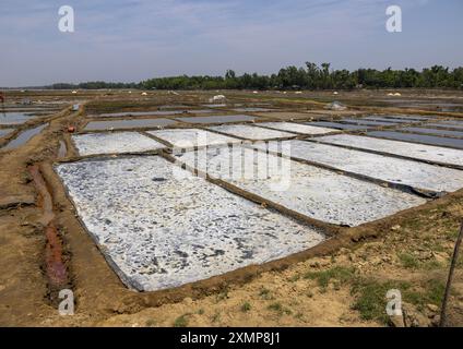 Salzfeld, Chittagong Division, Maheshkhali, Bangladesch Stockfoto