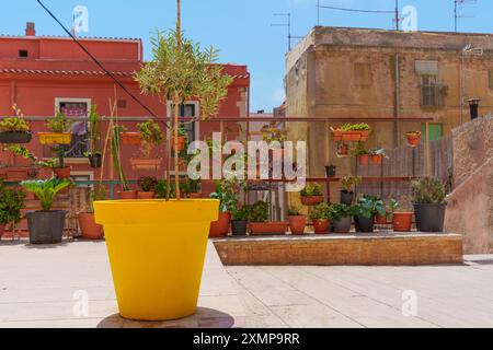 Großer gelber Pflanzgefäß, der in einem lebhaften Garten in Tarragona, Spanien, sichtbar ist Stockfoto