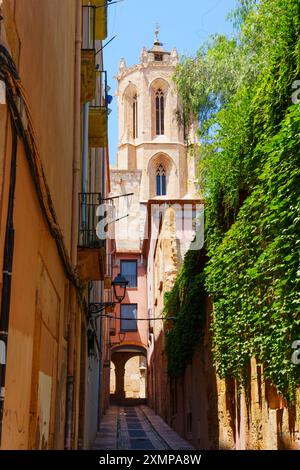 Malerischer Blick auf eine Tarragona Straße, die zu einem kunstvollen Glockenturm mit üppigem Grün führt, der den Weg umrahmt. Stockfoto