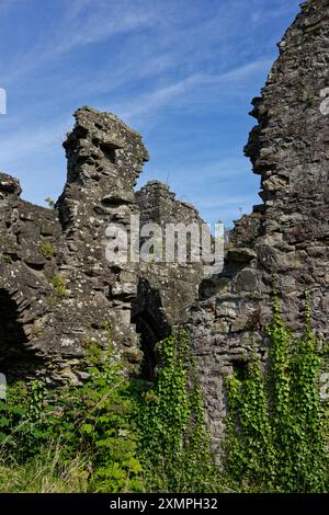 Efeu wächst auf den Steinruinen der Priorei Balmerion, mit verschiedenen Steinmauern, die alles von diesem Zisterzienserkloster übrig geblieben sind. Stockfoto