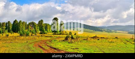 Panoramablick auf unbefestigte Straße durch das Bergtal. Altai Berggipfel Nadelwald bedeckt. Mehrere Zedern und Kiefern in der Nähe des Weges - pict Stockfoto