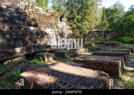 Teilweise erhaltene alte deutsche Befestigungsanlagen mitten im Wald Stockfoto