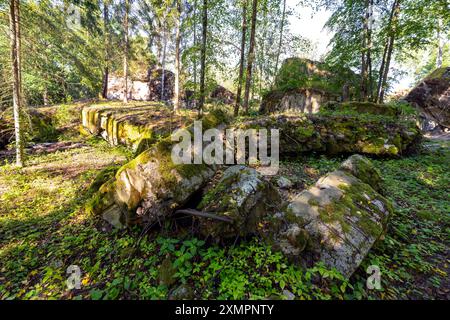 Teilweise erhaltene alte deutsche Befestigungsanlagen mitten im Wald Stockfoto