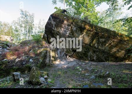 Teilweise erhaltene alte deutsche Bunker mitten im Wald Stockfoto