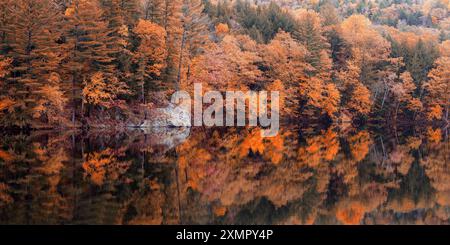 Panorama, Reflexion, Echo Lake bei Ludlow, Indian Summer, Vermont, USA Stockfoto