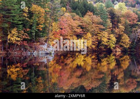 Reflection, Echo Lake bei Ludlow, Indian Summer, Vermont, USA Stockfoto