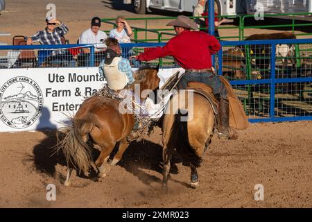 Der Abholer hilft dem Fahrer, nach dieser Fahrt beim Bareback-Event bei einem Rodeo in Utah aus dem Bucking House zu kommen. Stockfoto