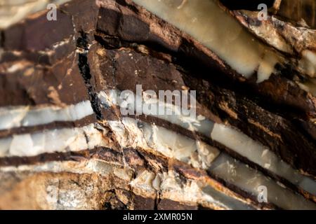 Eine Probe von Bändereisenbildung aus dem Barberton Greenstone-Gürtel. Stockfoto