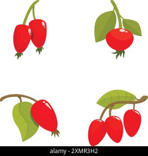 Set aus vier Illustrationen, die verschiedene Stile roter Hüften mit grünen Blättern zeigen, isoliert auf weißem Hintergrund Stock Vektor
