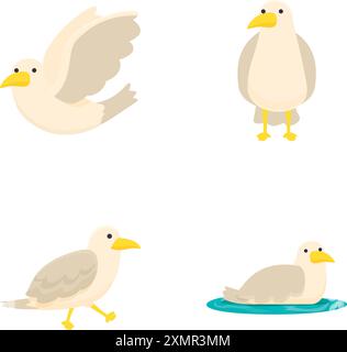 Vier Vektor-Illustrationen von niedlichen Cartoon Möwen in verschiedenen Posen auf einem weißen Hintergrund Stock Vektor