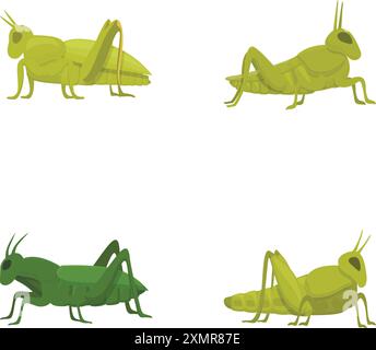 Sammlung von vier grünen Zeichentrickgrasschrecken, dargestellt in verschiedenen Positionen auf weißem Hintergrund Stock Vektor