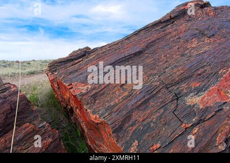 Nahaufnahme segmentierter versteinerter Baumstamm unter dynamischem Himmel Stockfoto