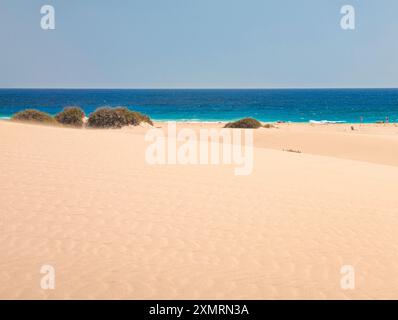 Luftaufnahme des Strandes Dunas de Corralejo auf Fuerteventura, Kanarische Insel, Spanien Stockfoto