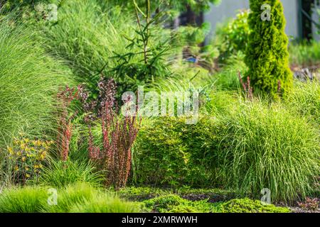 Ein lebendiger Garten bietet eine Vielzahl von üppig grünen Gräsern und farbenfrohen Pflanzen. Das Grün gedeiht unter hellem Sonnenlicht und schafft eine ruhige und friedliche Atmosphäre Stockfoto