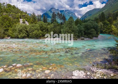 Ein lebendiger Soca-Fluss fließt sanft durch einen dichten Wald und offenbart ein felsiges Bett unter seinem kristallklaren Wasser. Umliegendes Grün und majestätische mou Stockfoto