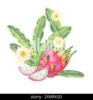 Dragon Fruit Aquarell Clipart mit zwei rosafarbenen Früchten, von denen eine geöffnet ist, um weißes Fleisch mit schwarzen Samen und gelben Blüten zu zeigen. Ideal für Rezeptkarten, Food Blogs und Projekte mit botanischem Thema Stockfoto