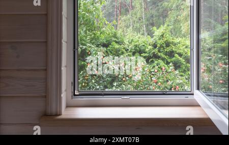 Weißes Fenster mit Moskitonetz in einem rustikalen Holzhaus mit Blick auf den Garten. Bio-Äpfel vor dem Fenster im Garten Stockfoto