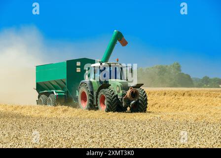 Traktor mit Laderwagen im Kornfeld während der Ernte Stockfoto